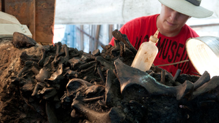 Illustration for article titled The La Brea Tar Pits Remind Us That Los Angeles is an Ancient City